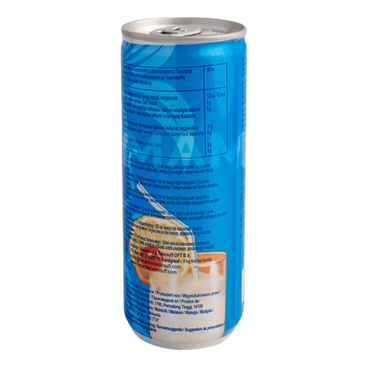 JEFI Guavensaft Ds 250ML